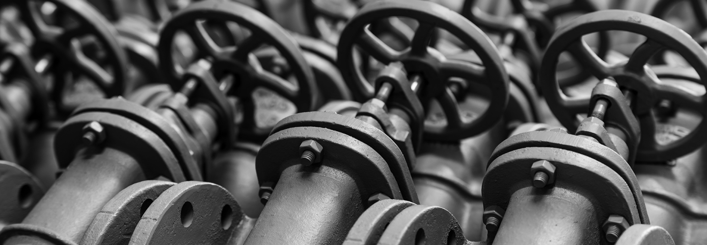 ФКП Бийский олеумный завод