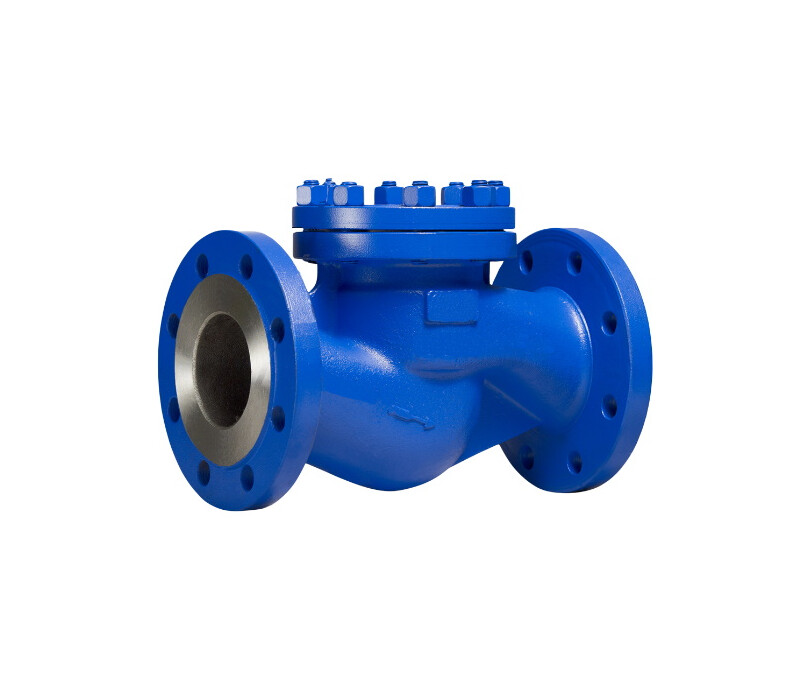 Клапан обратный подъемный фланцевый 16лс10нж DN 10 PN 1,6 МПа ХЛ1, корпус ст. 09Г2С - купить в ЕСК, характеристики, цена