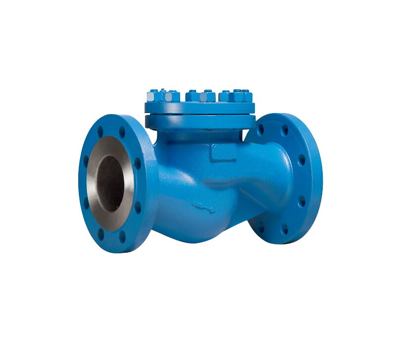 Клапан обратный подъемный фланцевый 16нж10п1 DN 40 PN 1,6 МПа УХЛ1, корпус ст. 12Х18Н12М3ТЛ - купить в ЕСК, характеристики, цена