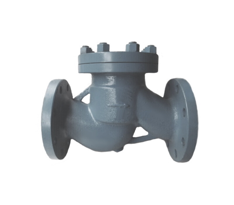 Клапан обратный подъемный фланцевый 16с13нж DN 25 PN 4,0 МПа У1, корпус ст. 25Л - купить в ЕСК, характеристики, цена