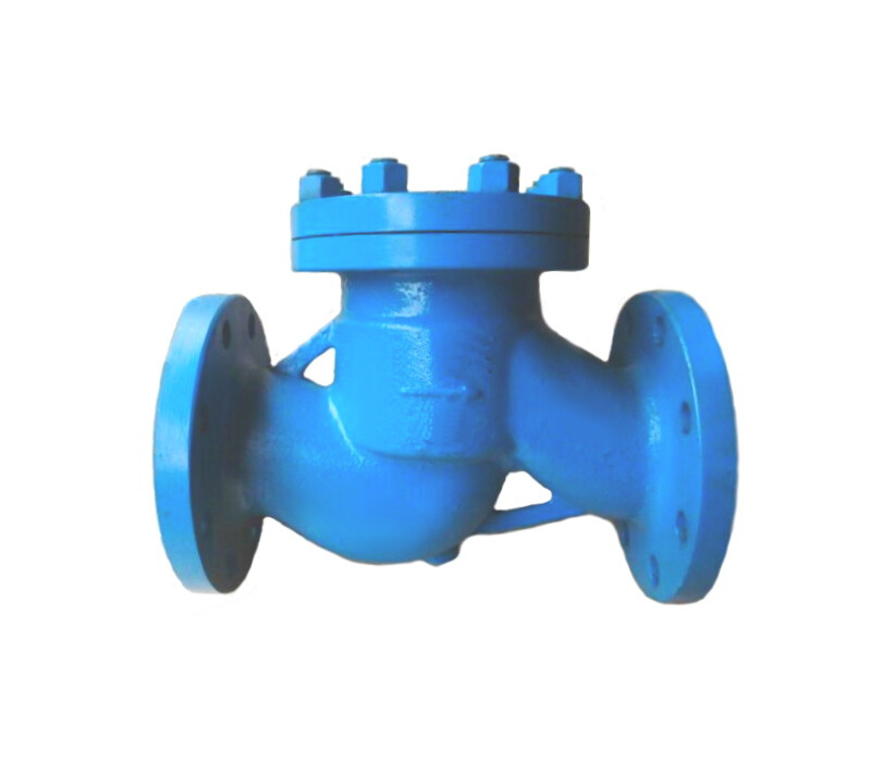 Клапан обратный подъемный фланцевый 16нж13нж DN 65 PN 4,0 МПа УХЛ1, корпус ст. 12Х18Н9ТЛ - купить в ЕСК, характеристики, цена